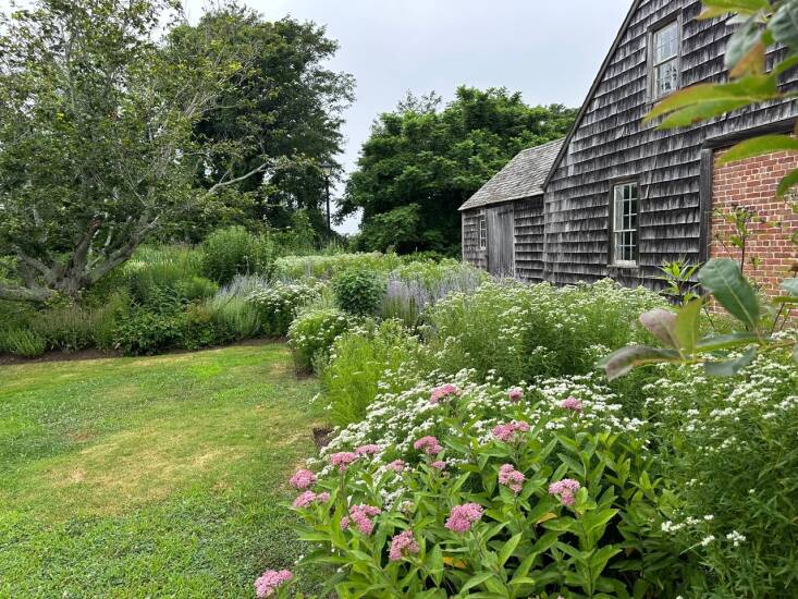 According to the Suffolk County Water Authority, 70 percent of the water they pump is used outside—mostly on lawn irrigation. Since they evolved in their region, native plants and trees, once established, typically do not need supplemental watering. Photograph by Tria Giovan.