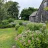 In East Hampton, a Community Comes Together to Replace an 'Ecological Dead Zone' with a Dynamic Pollinator Garden