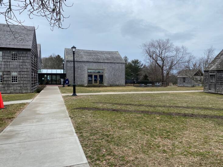 Before the garden was planted, the area was just a conventional, thirsty lawn with a sick beech tree. “We opted to keep the dying beech tree in the mix,” says Lawless. “It now has a soft landing and has rebounded a bit.” Photograph by Abby Lawless.