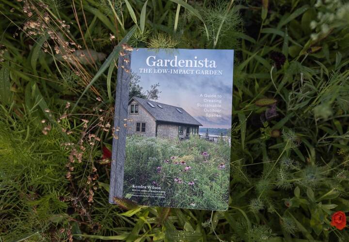 To learn more about our newest book, head here.