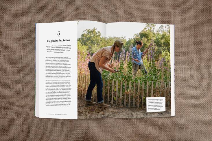 Joining like-minded people to effect incremental changes is one way of having agency in the future of your own surroundings. We visited Test Plot in Elysian Park, Los Angeles, which was set up by Jenny Jones of design group Terremoto (above), with the idea of restoring pockets of native planting to worn-out public spaces.