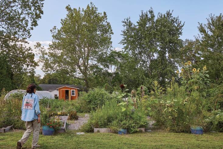 Chloe farms regeneratively, echoing the &#8\2\20;three sisters&#8\2\2\1; method—for instance, planting watermelons, okra, and black-eyed peas next to each other, native plants that respectively shade soil, attract pollinators, and fix nitrogen in their roots.