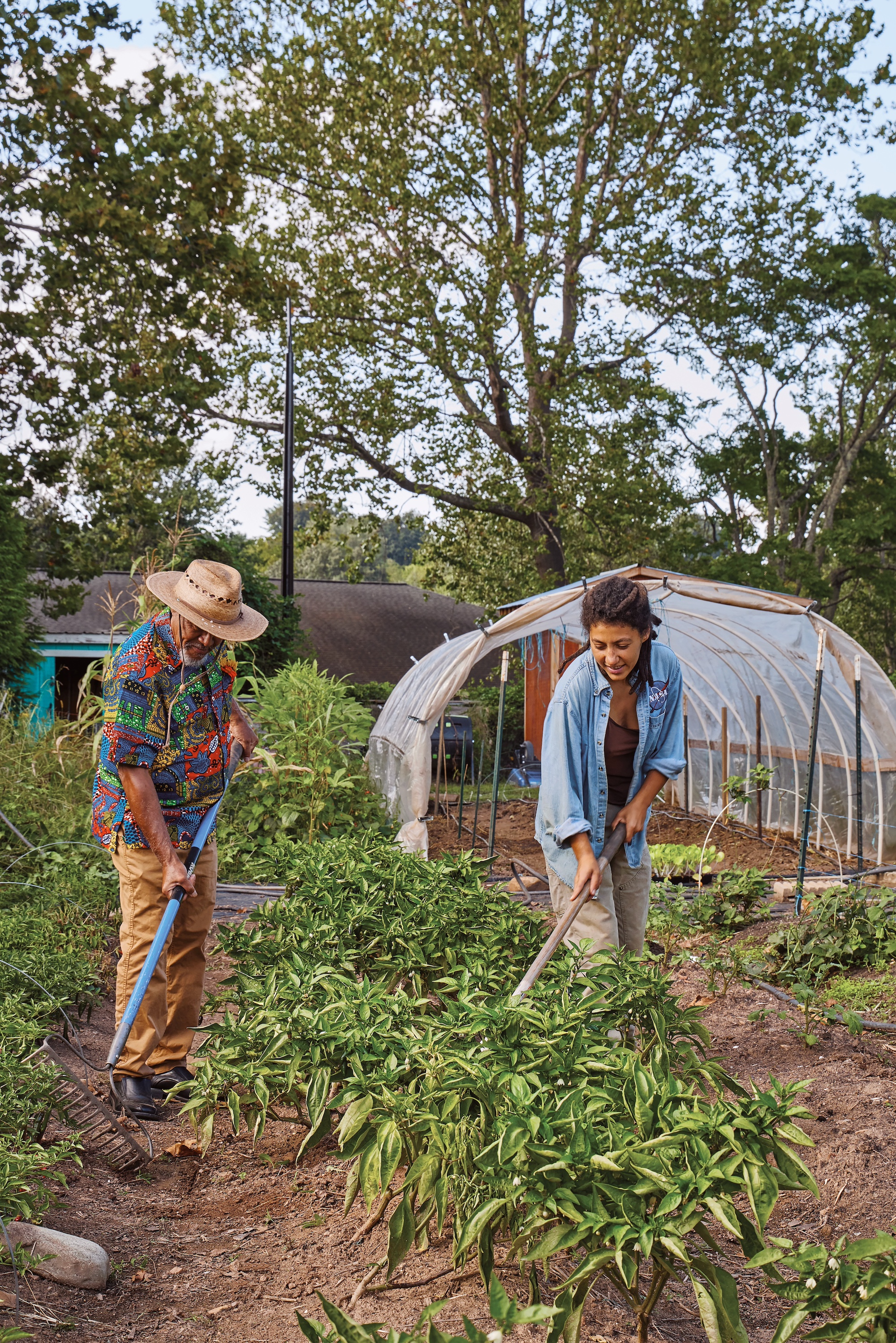 The Low-Impact Garden, Southside Community Garden
