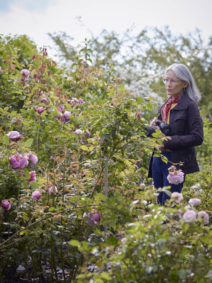 Ngo shooting for the book.