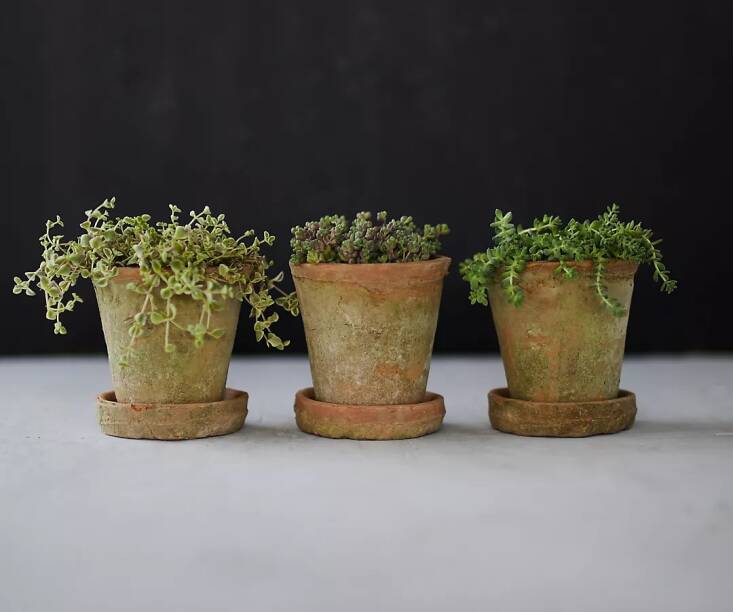 The Earth Fired Clay Herb Pot at Terrain is \$30 for a set of 3; also available in gray.