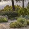 Garden Visit: 'A Cute One in Ojai' from Terremoto