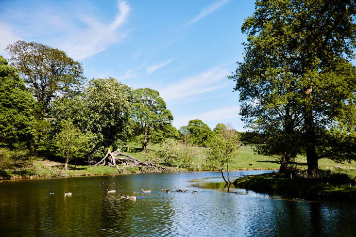 Learning about water on the estate to improve existing watercourses and create thousands of meters of new ones, is a priority. A beaver enclosure has been created and will hopefully rehome beavers by the end of the year.