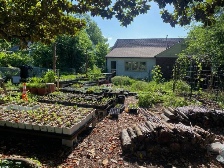 “The backyard native plant nursery movement is a beautifully subversive thing. All of us in Tulsa are friends and fellow nerds just trying to make a living with the space we already have, and it all comes from our passion and love of plants,&#8\2\2\1; says owner Gee.
