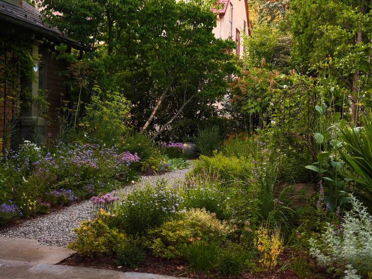 “This wasn’t a \2\16;look but don’t touch\2\17; garden,” says Lloyd. Rather, it was designed to invite interaction, with the client choosing to leave the front garden unfenced, so neighbors could enjoy it too. However, no fencing meant intense deer pressure, so Lloyd focussed her plant palette on those that were unpalatable to deer, including floss flower and allium. “Grasses, including sesleria, really knit everything together there,” she says.