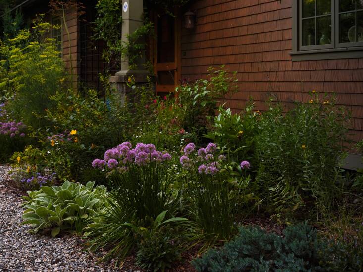 Lloyd says she tries to place plants that deer don’t like around plants they prefer; for example, lamb\2\17;s ear and allium are positioned to protect asters. As part of a local Pollinator Pathway, the garden is pesticide-free and designed to support bees, birds, and butterflies.