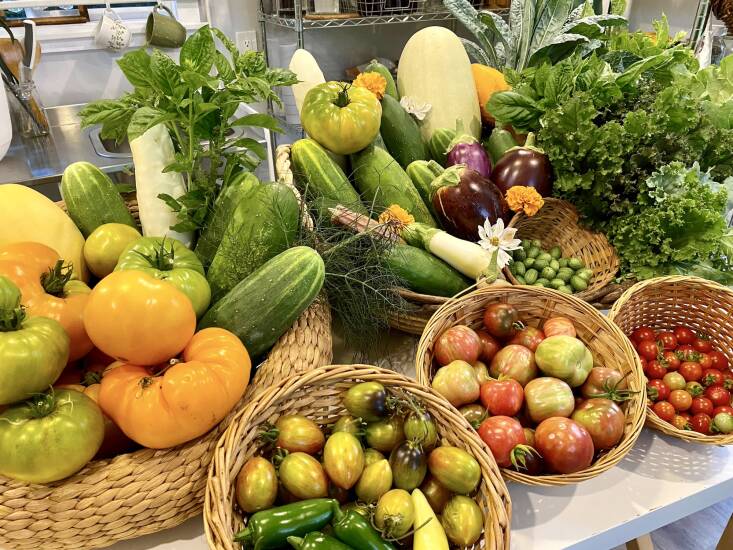Peak summer bounty from Ashlie&#8\2\17;s garden.