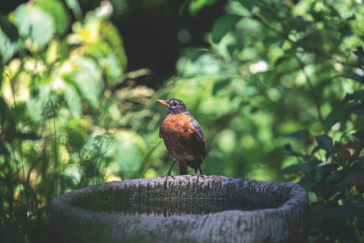 Photograph by Jen McGuinness.