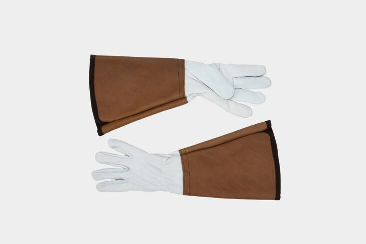 Flower prickles, spines, and thorns—meet your match. Shop now.