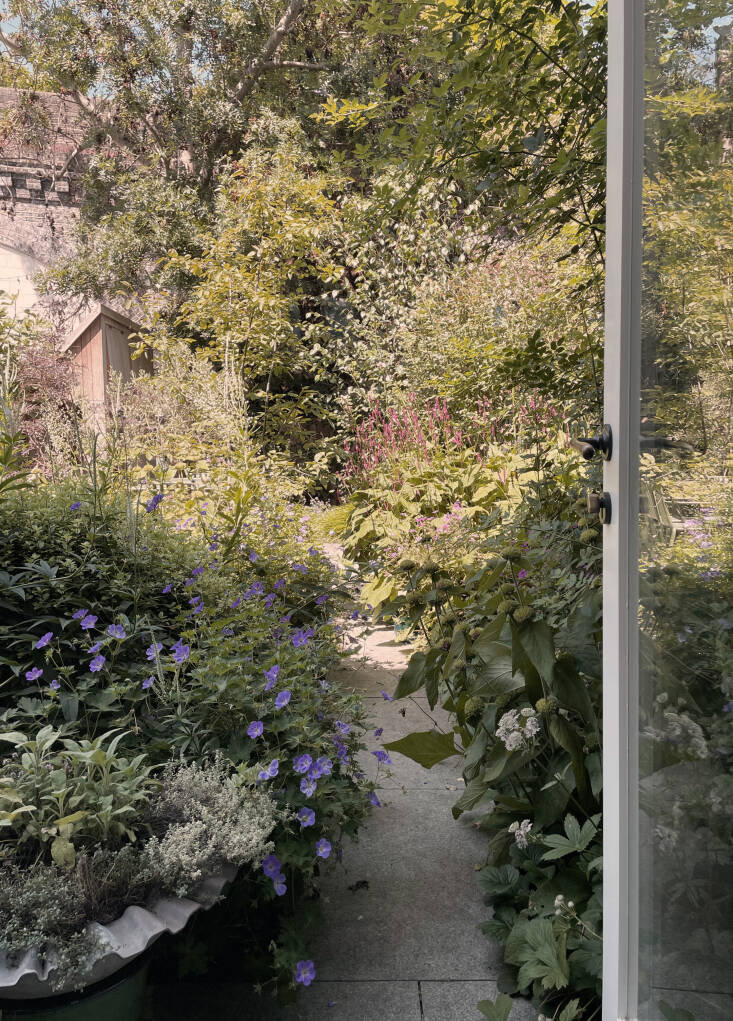 O'Sullivan Skoufoglou Architects Guernsey Grove