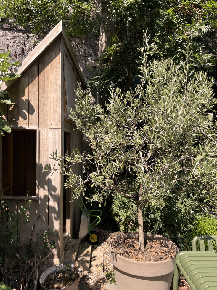 O'Sullivan Skoufoglou Architects Guernsey Grove