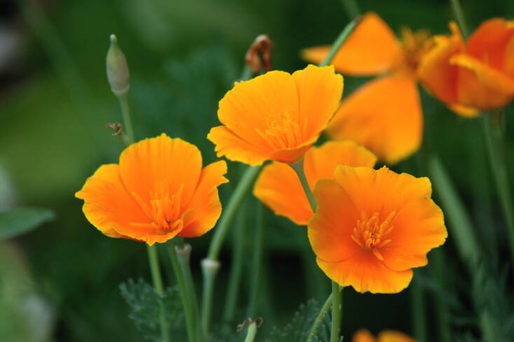 Photograph by Andrew Miller via Flickr.