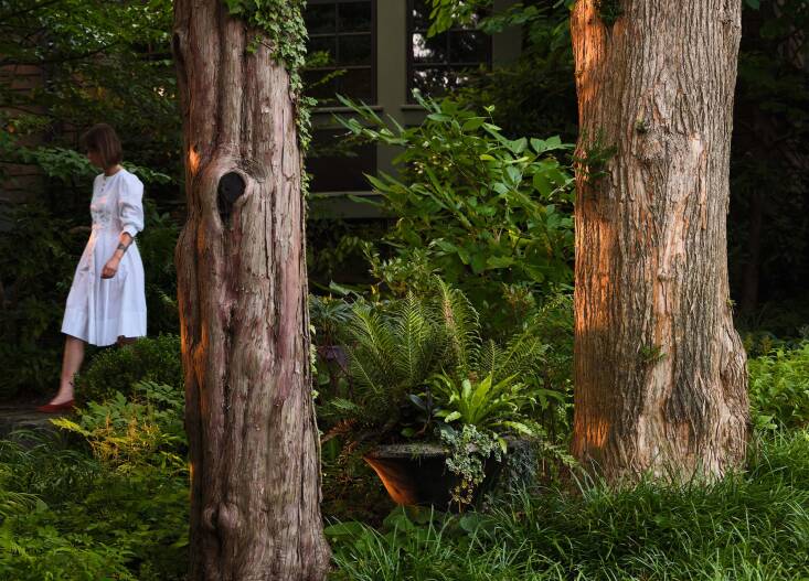 On-site at a favorite, foliage-forward project in New York. Photograph by Kyle J Caldwell.