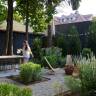 Before & After: A Ditmas Park, Brooklyn, Backyard Reimagined