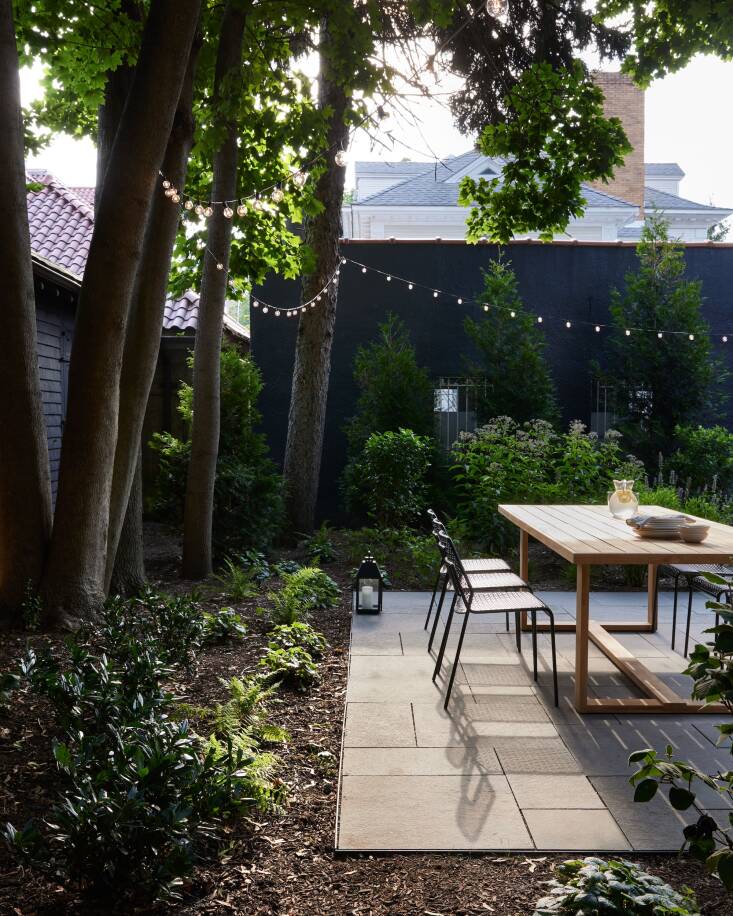 Half the yard lay in deep shade thanks to the Norway maples and the other half was in full sun. (While these trees are invasive, there are many in this neighborhood, so cutting them down wouldn’t have removed them from the ecosystem and clients liked to have some shade in summer.) Osofsky imagined the shadier area like a woodland, planting shade-tolerant ferns and shrubs. “We tried to capture that moment when a wooded forest transitions to an open meadow,” says Osofsky. Two plants that particularly helped bridge the sunny and shady conditions were tufted hair grass and amsonia.