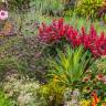 The Garden Decoder: What Is 'Cramscaping'? (And Why Is this Trend Here to Stay?)