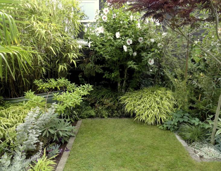 Bohl says her lawn has steadily been shrinking as the planting beds have been growing. Photograph by Loree Bohl.