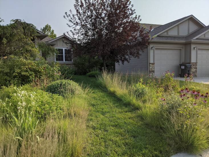  Above: A wide path of turf in the front yard of a suburban Nebraska garden filled with lush, prairie plants. Photograph courtesy of Benjamin Vogt.
