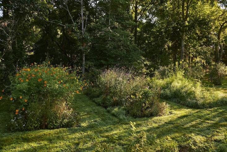 The ample cut flower beds are set directly into the ground in an area that was formerly turf grass. DeMauro + DeMauro collaborate with their client each year to decide which flowers to grow.