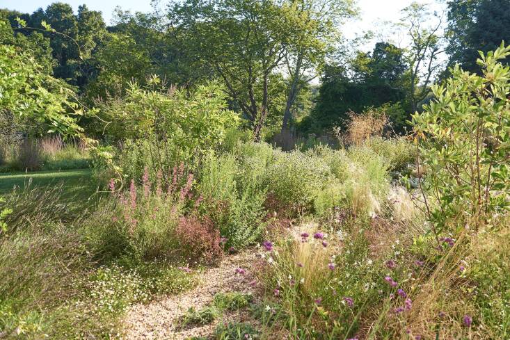 A wide ribbon of turf grass, where kids can play, separates the back gravel garden from the wildflower meadow beyond, clearly separating the two.