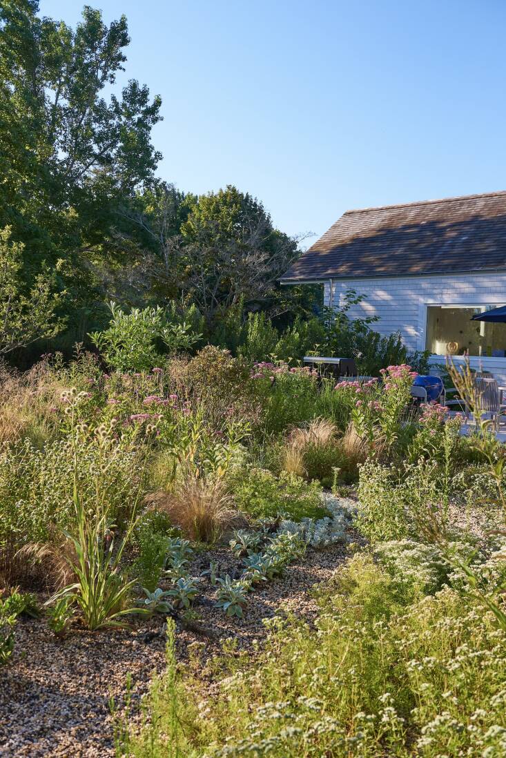 “I knew this was a location where a dry garden would flourish and thrive,” says Anna. “There&#8\2\17;s really great air circulation and it&#8\2\17;s hot with bright light reflected from the glass near the water. Then you add the gravel, and heat-loving plants just love it.”