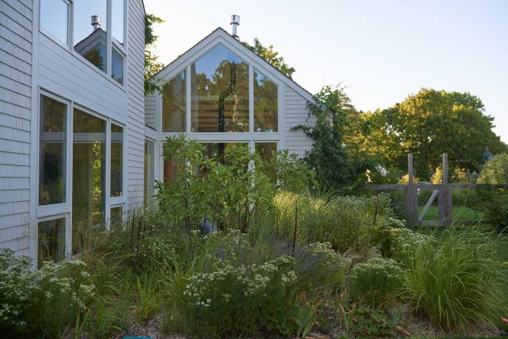 Two years after DeMauro + DeMauro’s installation, the pollinator gravel gardens are coming into their own.