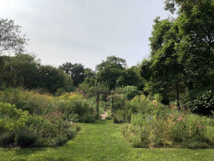  Above: In her garden on Eastern Long Island, von Gal created geometric beds and filled them with an array of native plants that she lets grow freely with wild abundance.  Photograph courtesy of Perfect Earth Project.