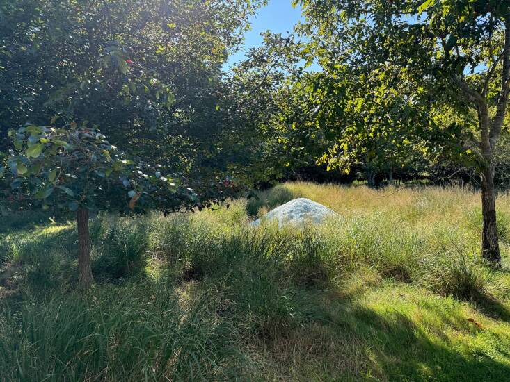  Above: “Cues to care show a human touch, a clear, intentional human interaction,” says von Gal. Maya Lin’s striking sculpture “Avalanche” in von Gal’s garden beckons attention in a grassy meadow peppered with native black cherry trees. Photograph courtesy of Perfect Earth Project.