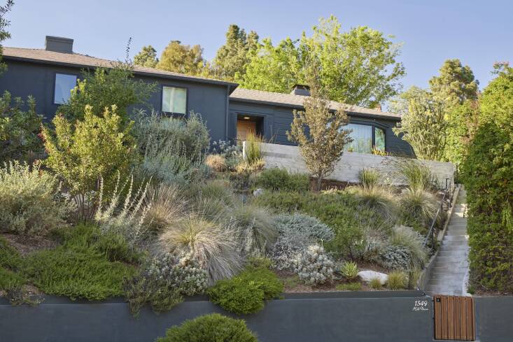 Instead of terracing, which a lot of the neighboring properties had done, Campbell designed a landscape with boulders and native plantings that had distinguished root systems, so she could rely on the natural planting to deal with the erosion control and stability. Photograph by Caitlin Atkinson, courtesy of Fi Campbell Design.