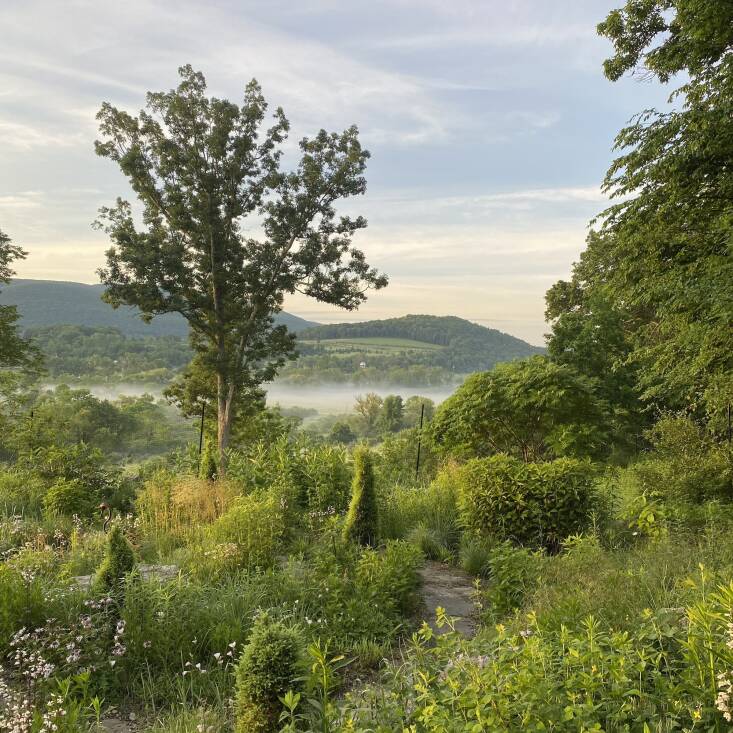 \2\20;A big part of our role as designers is helping clients rethink outdated notions of what a “beautiful” landscape looks like—showing that biodiversity and elegance are not mutually exclusive, but can be deeply intertwined.\2\2\1;