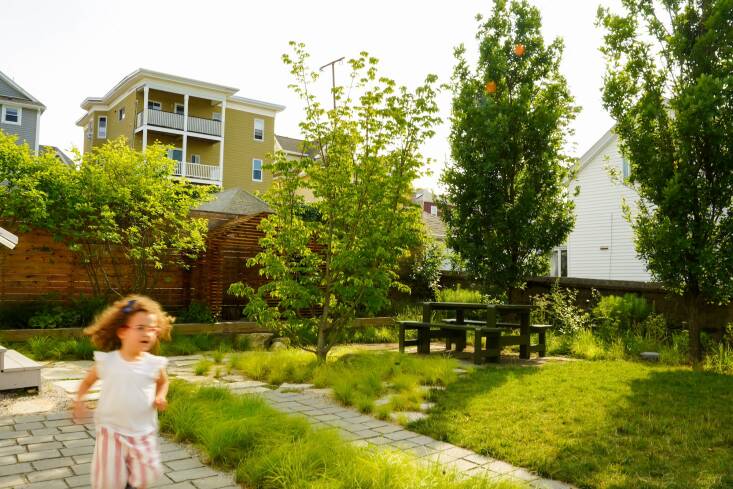 Lu — La Studio creaed a “ribbon” driveway. A car can park on the square pavers if needed; Carex albicans grows in the gap between the two ribbons.