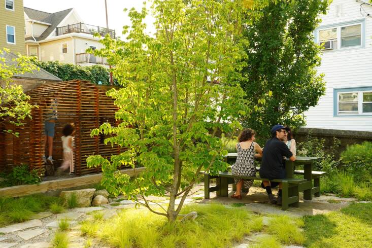 “If you choose the right trees and design it right, you can put so much in,” says Brunelle, who fit eight trees onto this small lot. The whole site is graded \1-percent toward the Kousa dogwood in the center (and there’s another dogwood opposite along the fence). In addition, they planted three multi-stem Amelanchier along the side fence and three Royal oaks, a columnar tree that will create a screen when they grow in.