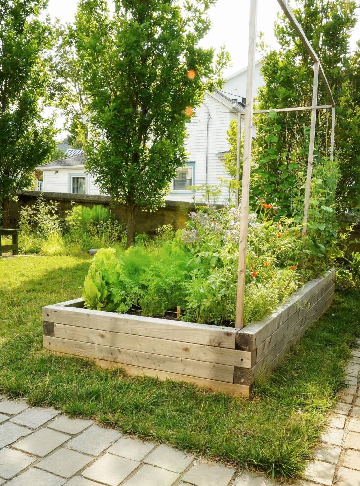 Both the turf grass “play lawn” and the raised vegetable bed are relatively small in size, but they get lots of use from residents.