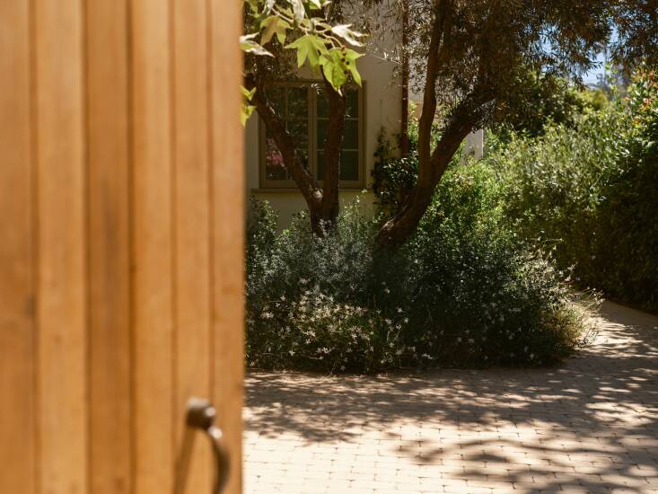 Sedlacek carved out new beds and added permeable paving in what used to be the entry driveway. The new space functions as a courtyard where kids can play, and still has enough hard surfaces to squeeze in a car if necessary.