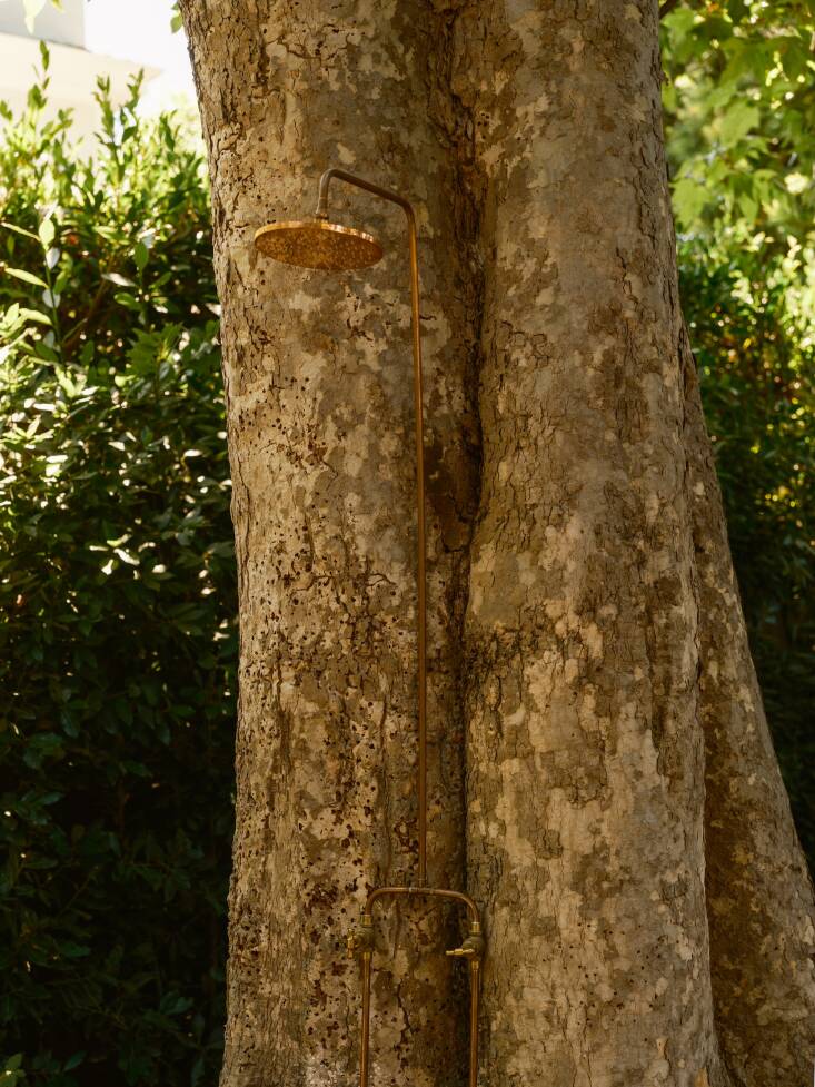 Pro-tip: trees are multipurpose! Here, Sedlacek used an existing sycamore to serve as the backdrop for an outdoor shower. (See Object of Desire: An Elegant Brass & Copper Outdoor Shower by OR.CA.)