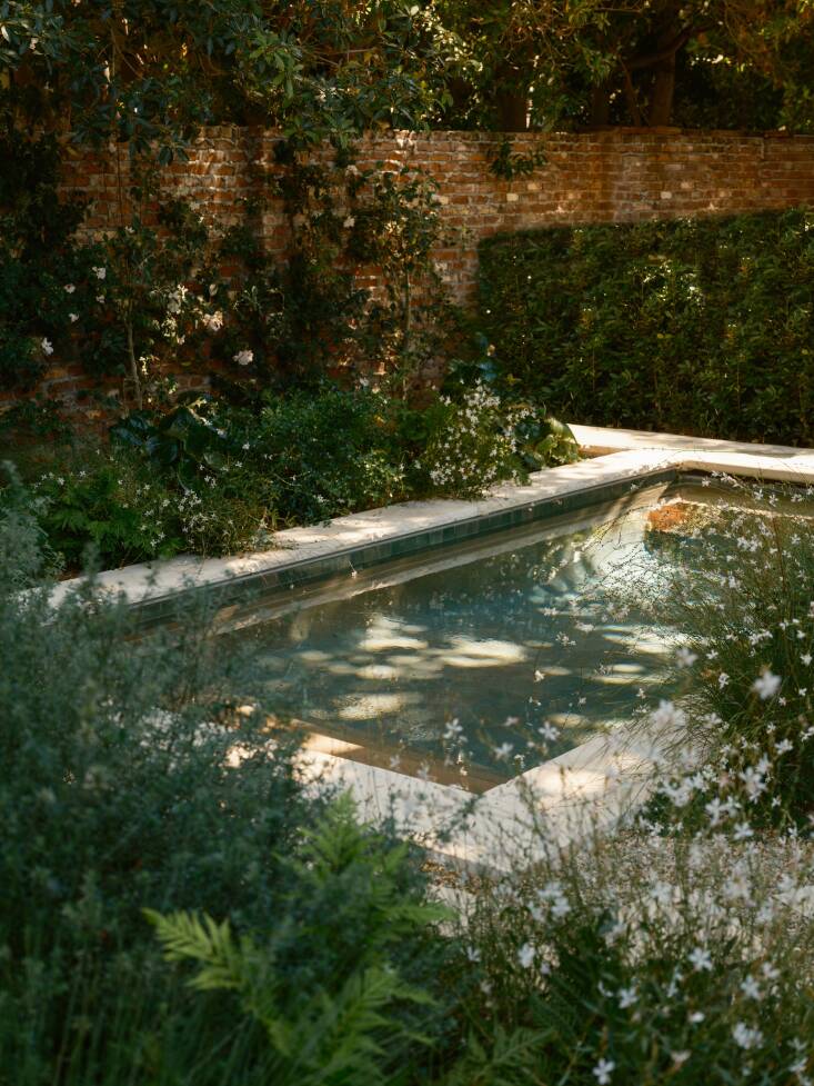 The native species Rosa californica is trained against an original brick wall in the back of the garden for a touch of formality.