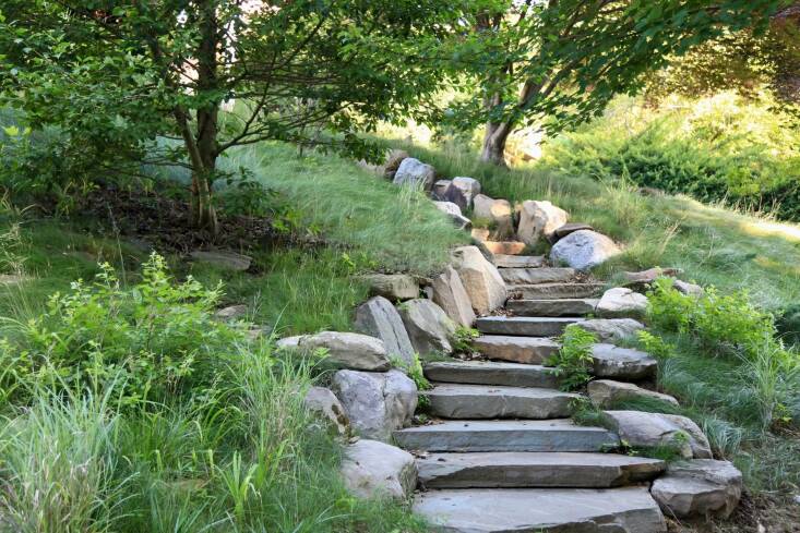 On this sloped landscape designed by Refugia, small trees flank an organic staircase featuring boulders and Pennsylvania bluestone. “It feels like it’s been a part of the hillside forever,” says Branum. Photograph by Kayla Fell, courtesy of Refugia Design.