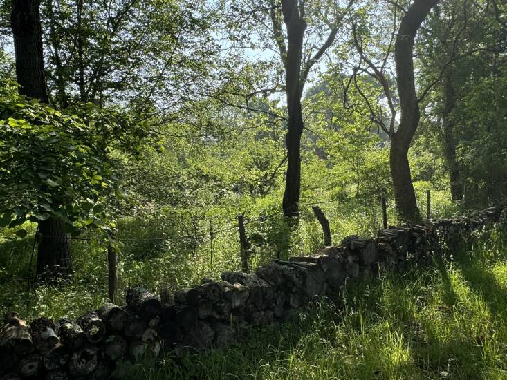 Perfect Earth Project founder Edwina von Gal uses sidewalk mesh, a metal grid with openings large enough that snakes, turtles, and squirrels can pass through easily, but small enough that deer won’t get caught. She doubles up the fence in some areas, adding strips of white fabric to mimic their tails, which is a deer distress signal, to help keep them away. She also adds a dead hedge to deter deer from jumping into this part of the property. Photograph courtesy of Perfect Earth Project.
