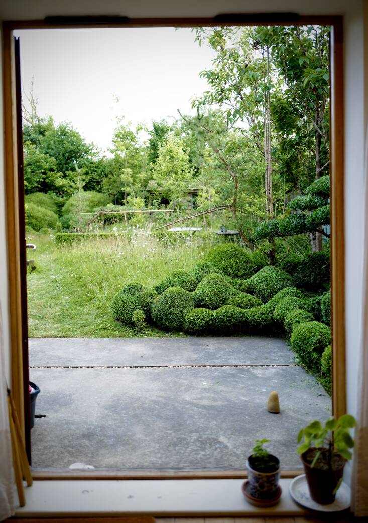 In recent years, Hobson has let this corner of cloud-pruned boxwood, a style which he helped to popularize in England, go a little more organic and blobby because he wanted it to be different from what everyone else is now doing. Hobson also notes that he loves the contrast of the clipped box against the mini meadow beyond.