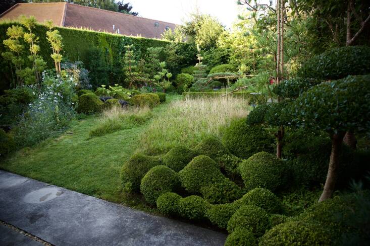 Every year Hobson lets the grass grow long and mows a new path through it. “Zigzagging through the garden is a really Japanese thing,” he notes. “You never just go straight into a house.” At right are some of Hobson’s undulating boxwood and a Phillyrea latifolia, which Hobson calls a “cloud-pruned tree.” (He had been growing it for years at his parents home before moving it to the garden.)