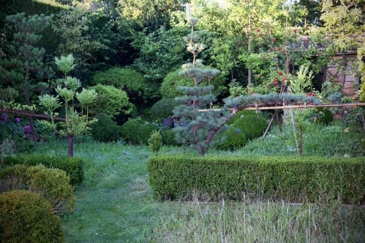 A low, straight hedge divides the garden into two sections, a more ornamental section near the house and a wilder area at the back, which includes a mini orchard and some pine trees that Hobson has trained. “I felt I needed something a little bit more strong and straight and decisive because it was all lovely, bubbly, and sort of organic,” says Hobson of the dividing hedge.
