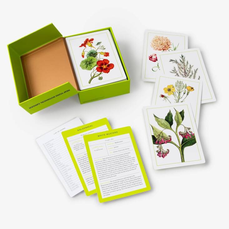 Help a gardener bone up on their botanical knowledge with these Wildflower Identification Flashcards that feature artwork from the archives of the New York Botanical Gardens; \$\20 at Bookshop.org
