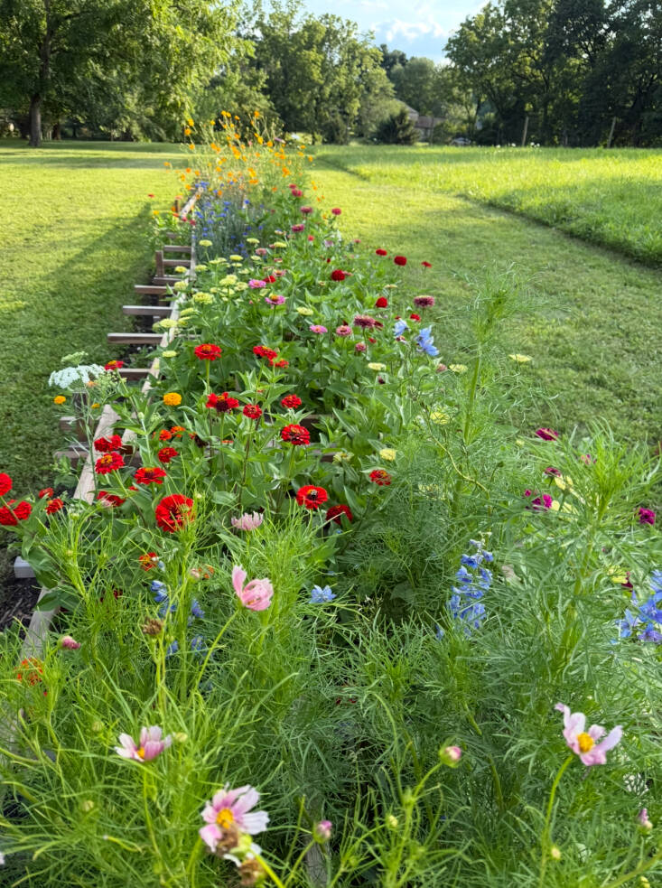 Once the flowers grow taller, the grates nearly disappear.