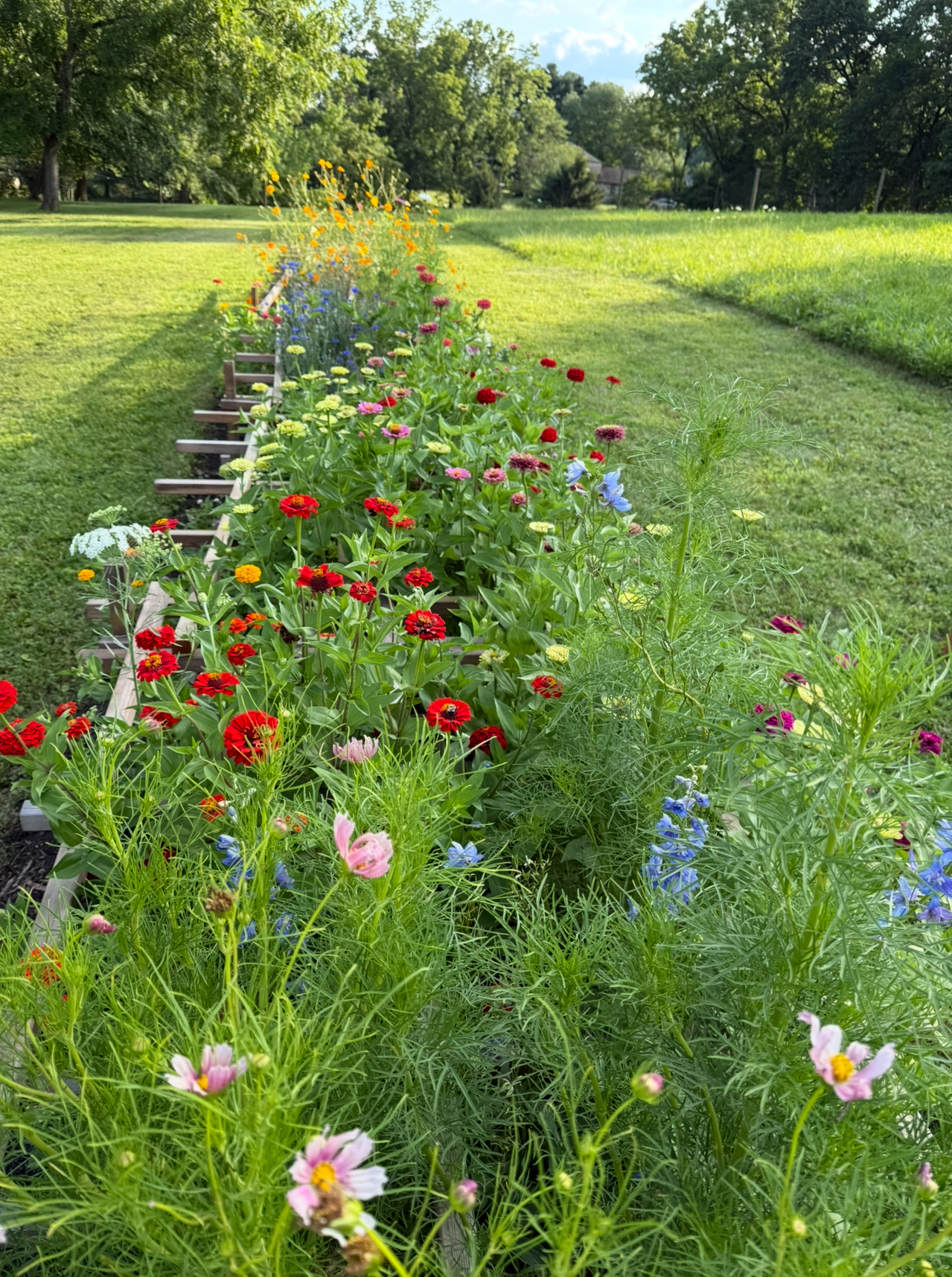 Sally Kohn DIY Cut Flower Garden Wood Supports