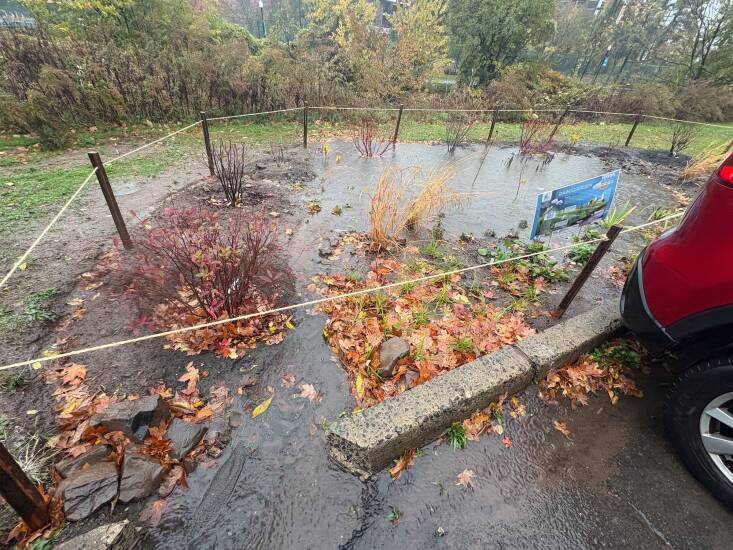 The rain garden at work during a heavy downpour. Photograph courtesy of Kirk Barrett.