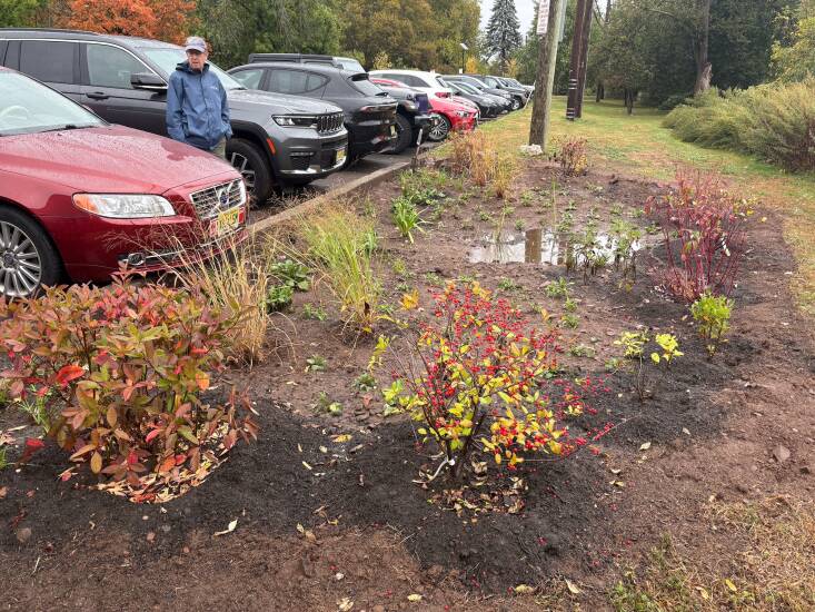 The garden in late fall, collecting and filtering the stormwater runoff. Photograph courtesy of Kirk Barrett.